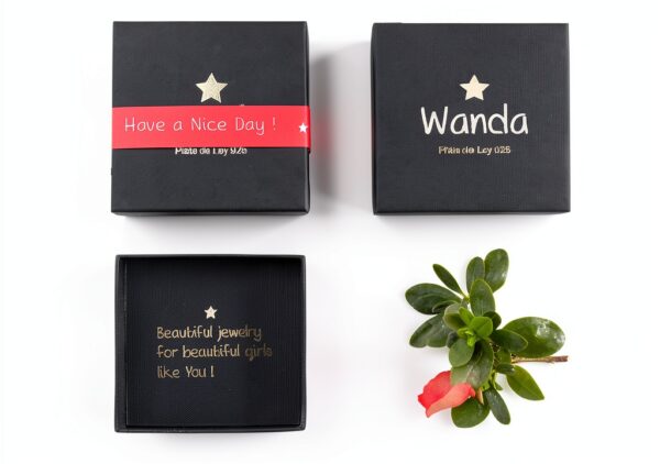 Collier Etoile de David Argent 925 WANDA PLATA Femme Bijou-3