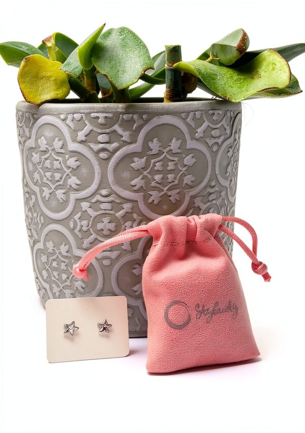 Boucles d'oreilles étoile Swarovski Stylacity pour femme-6